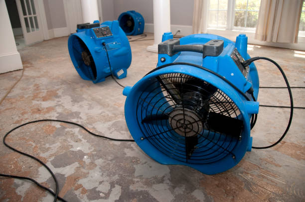 Best Emergency water damage restoration  in Snead, AL