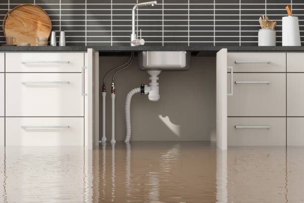 Best Carpet water damage restoration  in Snead, AL