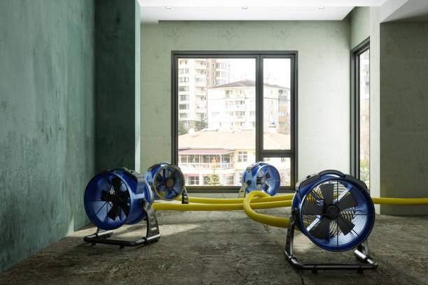 Best 24/7 water damage repair  in Snead, AL